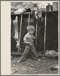 Son of destitute migrant, American River camp, near Sacremento [sic], California. The boy has dysentery