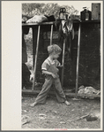 Son of destitute migrant, American River camp, near Sacremento [sic], California. The boy has dysentery