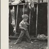 Son of destitute migrant, American River camp, near Sacremento [sic], California. The boy has dysentery