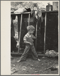 Son of destitute migrant, American River camp, near Sacremento [sic], California. The boy has dysentery