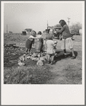 Water supply. Migratory camp for cotton pickers. San Joaquin Valley, California. American River camp