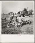 Water supply. Migratory camp for cotton pickers. San Joaquin Valley, California. American River camp