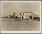 View of Kern County migrant camp. California