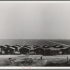 Company housing for Mexican cotton pickers, showing the San Joaquin Valley in the background. South of Corcoran, California