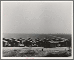Company housing for Mexican cotton pickers, showing the San Joaquin Valley in the background. South of Corcoran, California