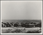 Company housing for Mexican cotton pickers, showing the San Joaquin Valley in the background. South of Corcoran, California