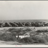 Company housing for Mexican cotton pickers, showing the San Joaquin Valley in the background. South of Corcoran, California