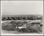 Company housing for Mexican cotton pickers, showing the San Joaquin Valley in the background. South of Corcoran, California