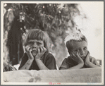 Children of Oklahoma drought refugee in migratory camp in California