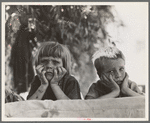 Children of Oklahoma drought refugee in migratory camp in California