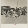 Four families, three of them related with fifteen children, from the Dust Bowl in Texas in an overnight roadside camp near Calipatria, California