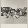 Four families, three of them related with fifteen children, from the Dust Bowl in Texas in an overnight roadside camp near Calipatria, California