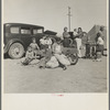 Four families, three of them related with fifteen children, from the Dust Bowl in Texas in an overnight roadside camp near Calipatria, California