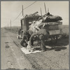 Missouri family of five, seven months from the drought area, on U.S. Highway 99 near Tracy, California