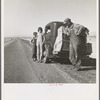 Oklahoma sharecropper and family entering California. Stalled on the desert near Indio, California