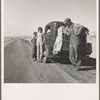 Oklahoma sharecropper and family entering California. Stalled on the desert near Indio, California