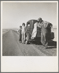 Oklahoma sharecropper and family entering California. Stalled on the desert near Indio, California