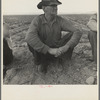 Migrant agricultural worker. Near Holtville, California