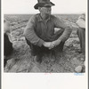 Migrant agricultural worker. Near Holtville, California