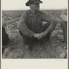 Migrant agricultural worker. Near Holtville, California