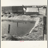 Ditch bank camp for migrant agricultural workers. California