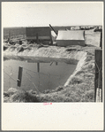 Ditch bank camp for migrant agricultural workers. California
