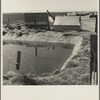 Ditch bank camp for migrant agricultural workers. California