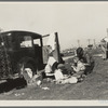 Oklahomans bound for Oregon along a highway in California