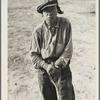 Calipatria (vicinity), California. Native of Indiana in a migratory labor contractor's camp. "It's root hog or die for us folks."