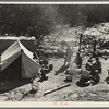 Two families, fifteen people, from Chickasaw, Oklahoma, camped by the roadside near Santa Maria, California. Heading for the pea harvest but stalled because they have no money to buy a trailer's license