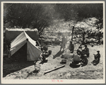 Two families, fifteen people, from Chickasaw, Oklahoma, camped by the roadside near Santa Maria, California. Heading for the pea harvest but stalled because they have no money to buy a trailer's license