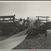 Threshing of oats Clayton, Indiana south of Indianapolis