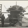 Threshing oats, Clayton, Indiana. July 1936