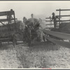 The threshing of oats. Clayton, Indiana, south of Indianapolis