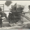 The threshing of oats. Clayton, Indiana, south of Indianapolis