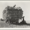 The threshing of oats. Clayton, Indiana, south of Indianapolis