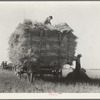 The threshing of oats. Clayton, Indiana, south of Indianapolis