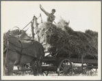 The threshing of oats. Clayton, Indiana, south of Indianapolis