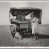 Family between Dallas and Austin, Texas. The people have left their home and connections in South Texas, and hope to reach the Arkansas Delta for work in the cotton fields. Penniless people. No food and three gallons of gas in the tank ...