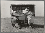 Family between Dallas and Austin, Texas. The people have left their home and connections in South Texas, and hope to reach the Arkansas Delta for work in the cotton fields. Penniless people. No food and three gallons of gas in the tank ...