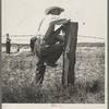 Indiana farmer