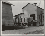Cotton bales on gin platform. Robstown, Texas