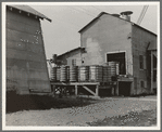 Cotton bales on gin platform. Robstown, Texas