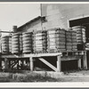 Bales of cotton on gin platform. Robstown, Texas