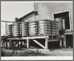 Bales of cotton on gin platform. Robstown, Texas