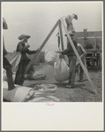 Weighing cotton near Robstown, Texas