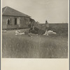 Cotton pickers in south Texas