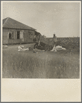 Cotton pickers in south Texas