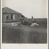 Cotton pickers in south Texas