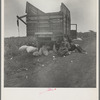 Cotton pickers' lunchtime. Near Corpus Christi, Texas